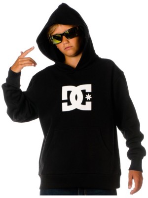 Hoodies med zip DC Star Hood youth