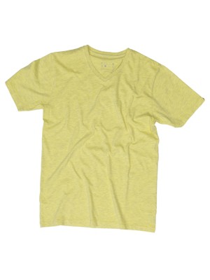 T-Shirts Kortärmad Billabong Premium V Neck Tee SS