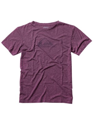 T-Shirts Kortärmad Quiksilver String Logo Chill Tee SS