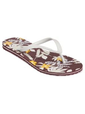 Sandaler Vans Lanai Women