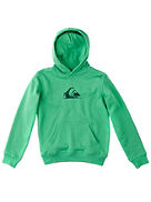 Hoodies Quiksilver Mountain And Wave Hood Youth