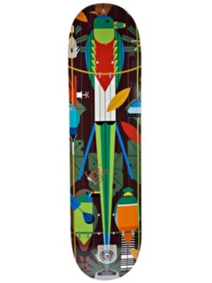 Skateboard Decks Habitat Monteverde Charley Harper Med 8x31.75