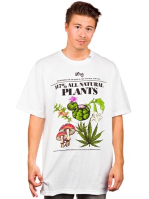 T-Shirts Kortärmad LRG All Natural Plants T-Shirt