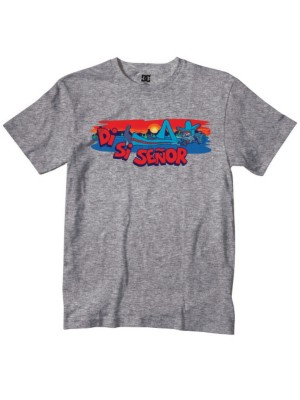 T-Shirts Kortärmad DC Mss Lauri T-Shirt