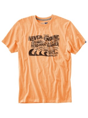 T-Shirts Kortärmad Vans Never Ending T-Shirt