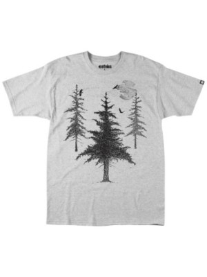 T-Shirts Kortärmad Etnies Lumber T-Shirt